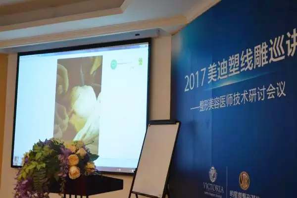 杭州维多利亚线雕 2017美迪塑线雕巡讲